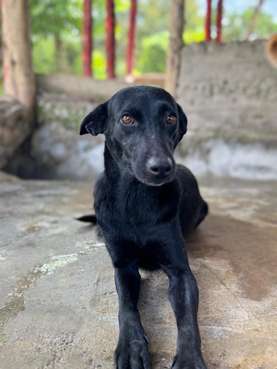 Mirada que enamora